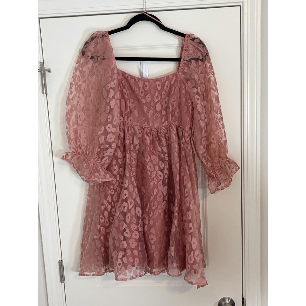 NWT!! Entro Cocktail Midi Babydoll Floral Dress Blush Tulle Sleeves Size Small